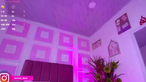 Snapshot of sammyblaer chatting on 02.04.25 Samantha online show from 02.04.25