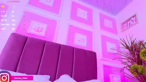 Snapshot of sammyblaer chatting on 03.08.25 Samantha online show from 03.08.25