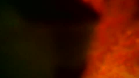 Snapshot of samueltal chatting on 10.14.25 samueltal online show from 10.14.25