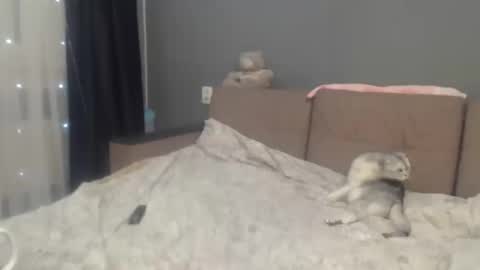 sandra_smith3007 online show from 02.06.26