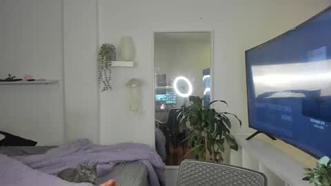 kitty online show from 11.19.25