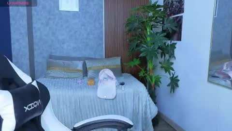 saphi online show from 07.12.26