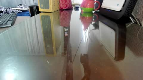 saphira online show from 12.31.24