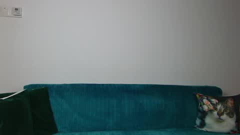 Im Sara I am happy to be here  online show from 04.30.26
