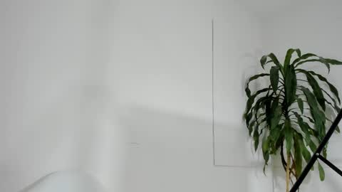 sara online show from 03.01.25