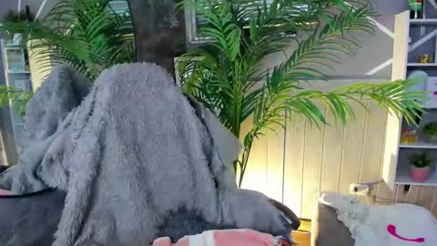 Snapshot of saraandsofi02 chatting on 12.31.24 sofia gomez420 online show from 12.31.24