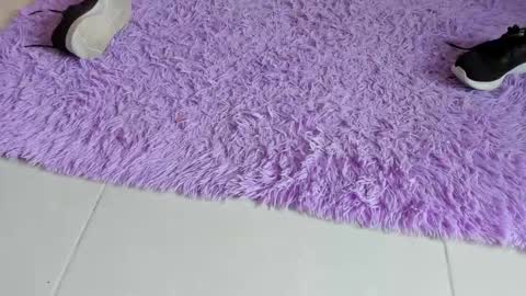 sarah  cinnamon online show from 12.18.25