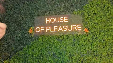 Sarah Bonneth online show from 03.14.26