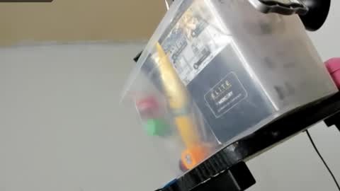 Sarah online show from 02.13.26