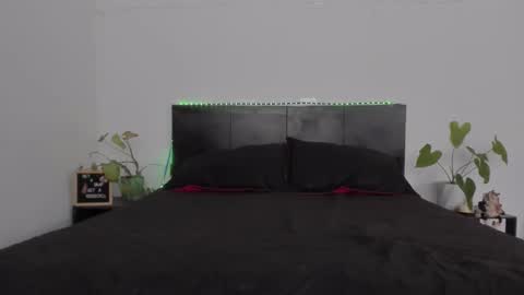 Girl next door online show from 01.31.25