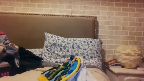 Sara online show from 12.15.24