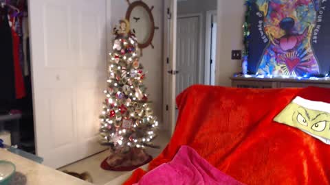 Trish online show from 01.01.25