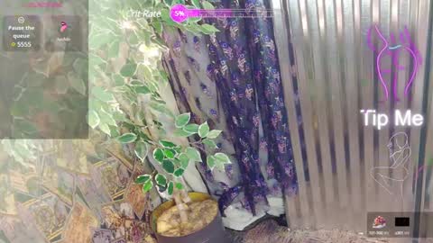 sassylatin45 online show from 01.12.25