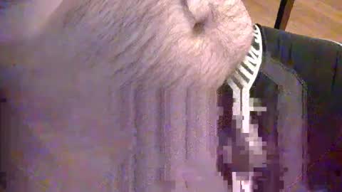 sato58264 online show from 05.18.26