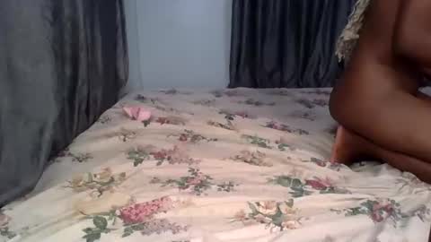 pety online show from 04.20.26