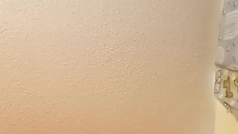 Snapshot of saucybear666 chatting on 12.09.24 SnowBunny online show from 12.09.24