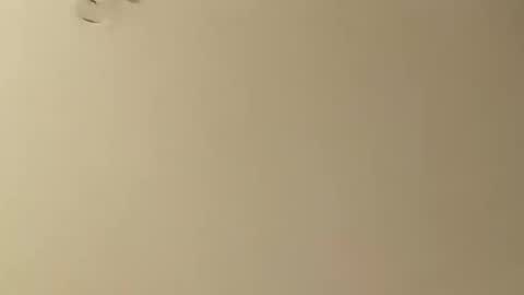 Snapshot of saucybear666 chatting on 01.26.25 SnowBunny online show from 01.26.25