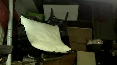 Sbamx online show from 12.17.24