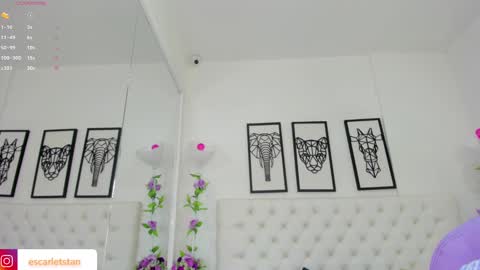 Snapshot of scarlet_stan22 chatting on 12.16.24 Isa online show from 12.16.24