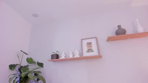 Scarlett Morgan online show from 02.28.25