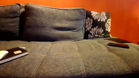 schmuhbaer1 online show from 12.14.25