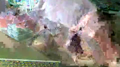 scotthard online show from 03.14.26