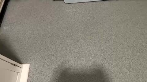 scottyc48 online show from 11.23.25