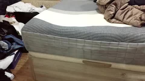 Snapshot of scubi007 chatting on 11.02.25 scubi007 online show from 11.02.25