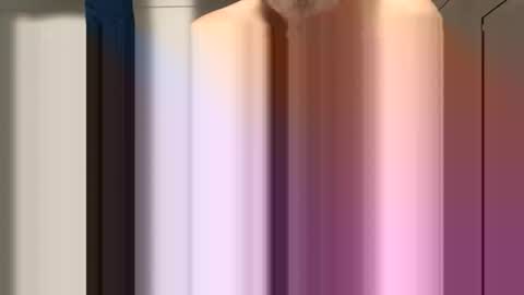 sdriv33390317 online show from 03.30.26