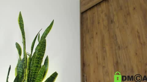 sebastian online show from 04.21.26