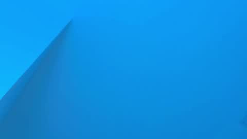 Sebastian online show from 12.02.25