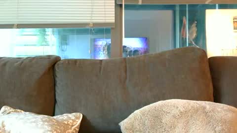 Snapshot of sebroyce chatting on 06.14.26 Sebastian Royce online show from 06.14.26