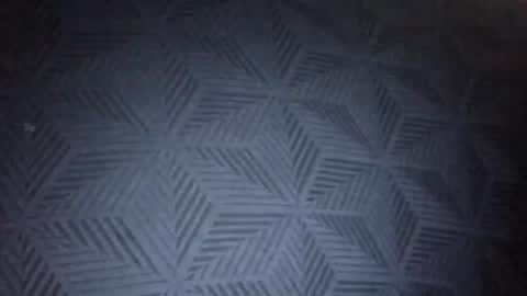 Sunny online show from 01.31.26