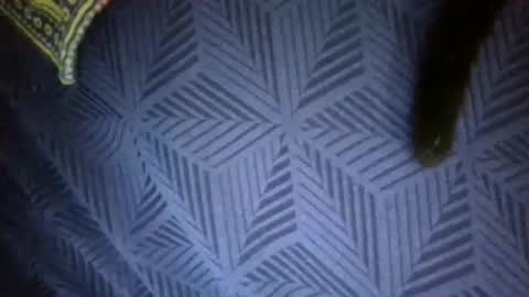 Sunny online show from 04.18.26