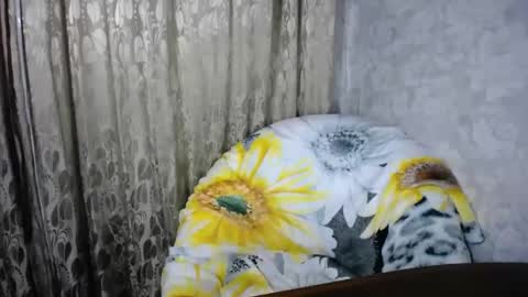 Snapshot of secretcandy222 chatting on 03.01.25 secretcandy222 online show from 03.01.25