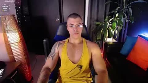 sed online show from 02.04.26