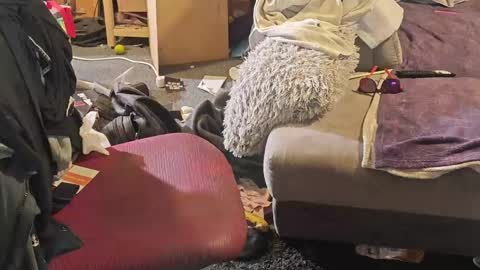 BiG DicK online show from 04.08.26