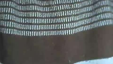 Snapshot of selim_1980 chatting on 11.14.25 selim selim online show from 11.14.25