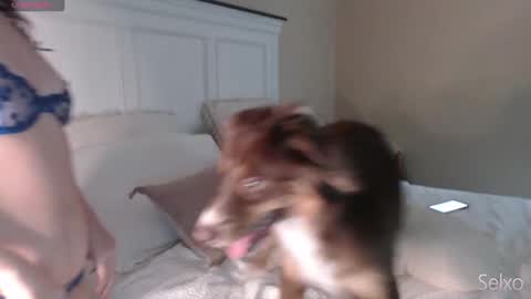 Sel online show from 09.23.25