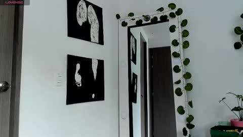 Snapshot of selyn_ chatting on 02.13.26 Selyn online show from 02.13.26