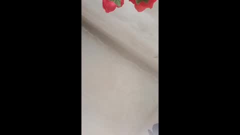 Snapshot of sergiobianchi977 chatting on 02.10.26 sergiobianchi977 online show from 02.10.26