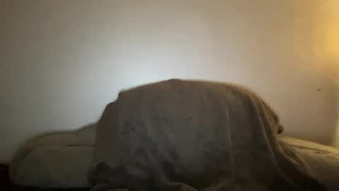 Seroc online show from 01.19.25