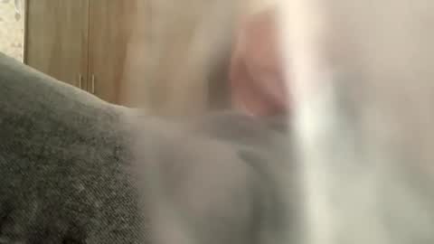 serpenttiin online show from 09.23.25