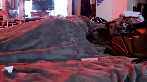 Sydney Mae online show from 01.29.25