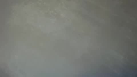 Lily online show from 01.12.25