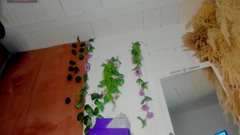 sexking_david online show from 12.22.25