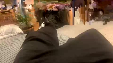 sexpest32 online show from 01.18.26