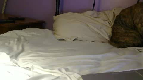 Snapshot of sexxxylibra10 chatting on 04.25.26 sexxxylibra10 online show from 04.25.26