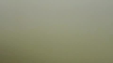 sexy_esther92 online show from 01.19.26