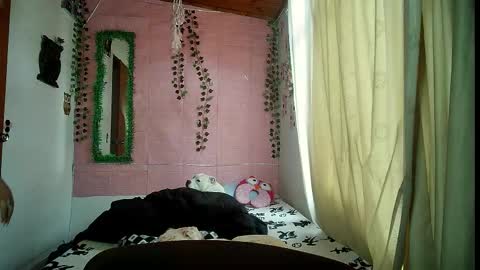 sexy lolas online show from 02.21.26